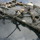 Image for article titled Actually, Hurricane Katrina Was Not Super Cool